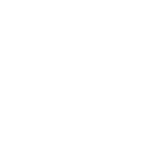 Inspires and motivates employees and stakeholders